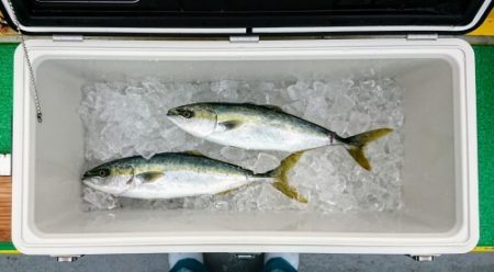 火遠理丸(ほおりまる) 釣果