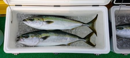 火遠理丸(ほおりまる) 釣果