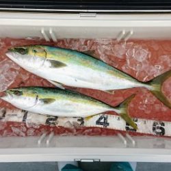 火遠理丸(ほおりまる) 釣果