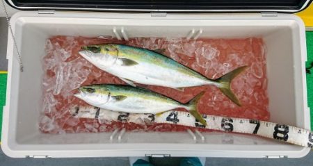 火遠理丸(ほおりまる) 釣果