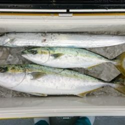 火遠理丸(ほおりまる) 釣果