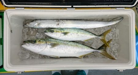 火遠理丸(ほおりまる) 釣果