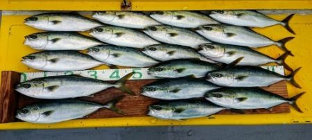 火遠理丸（ほおりまる） 釣果