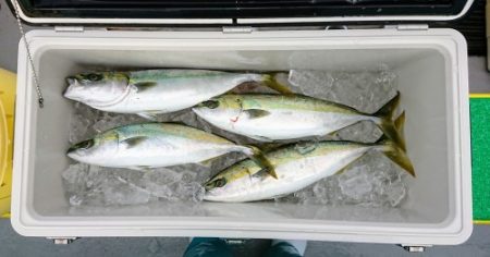 火遠理丸（ほおりまる） 釣果