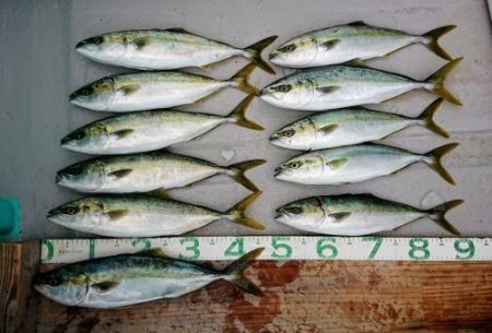 火遠理丸（ほおりまる） 釣果