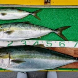 火遠理丸（ほおりまる） 釣果