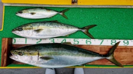 火遠理丸（ほおりまる） 釣果