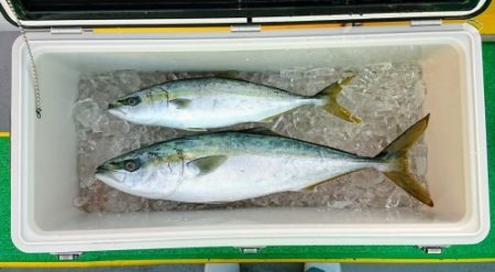 火遠理丸（ほおりまる） 釣果