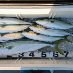 火遠理丸(ほおりまる) 釣果