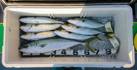 火遠理丸(ほおりまる) 釣果