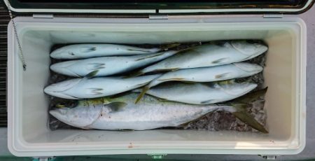 火遠理丸(ほおりまる) 釣果