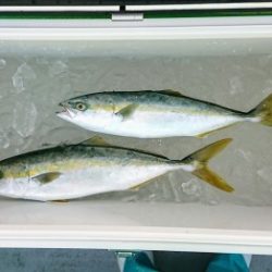 火遠理丸(ほおりまる) 釣果