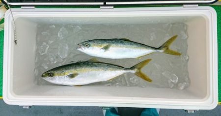 火遠理丸(ほおりまる) 釣果