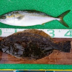 火遠理丸(ほおりまる) 釣果