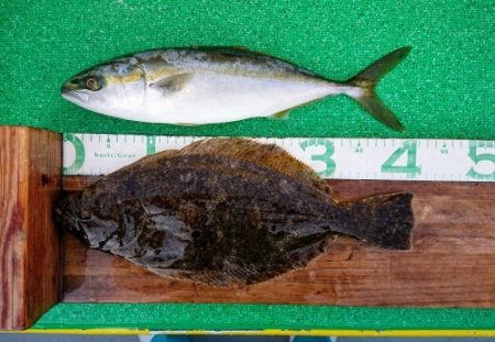 火遠理丸(ほおりまる) 釣果