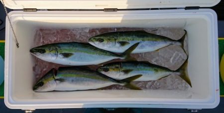 火遠理丸(ほおりまる) 釣果