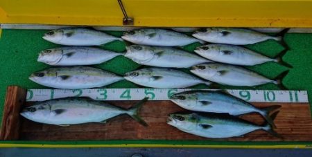 火遠理丸(ほおりまる) 釣果