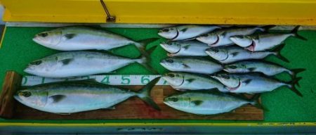 火遠理丸（ほおりまる） 釣果