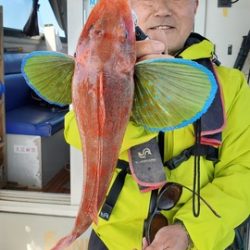 遊漁船　ニライカナイ 釣果