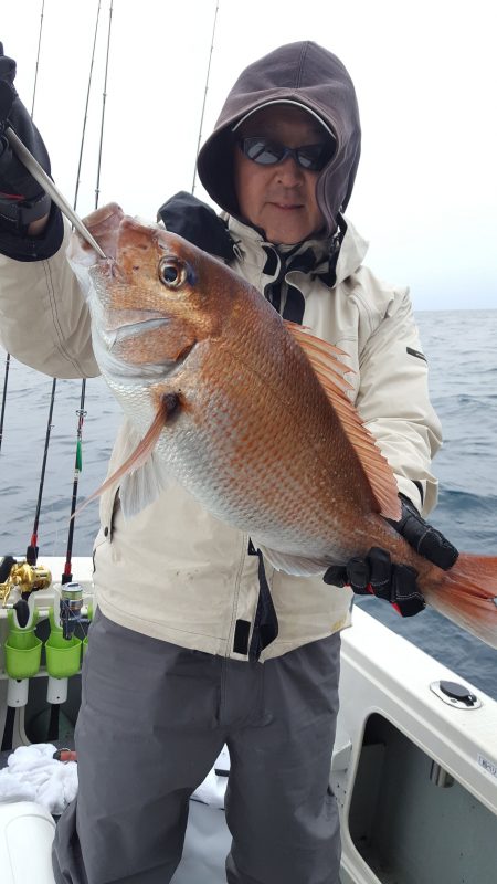海峰 釣果
