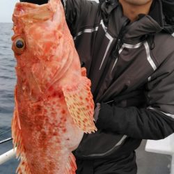 遊漁船 新鋭丸 釣果