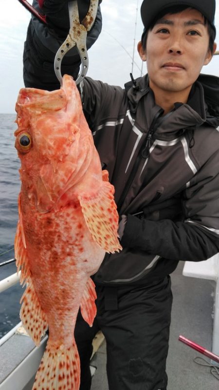 遊漁船 新鋭丸 釣果