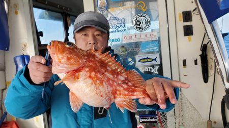 遊漁船　ニライカナイ 釣果