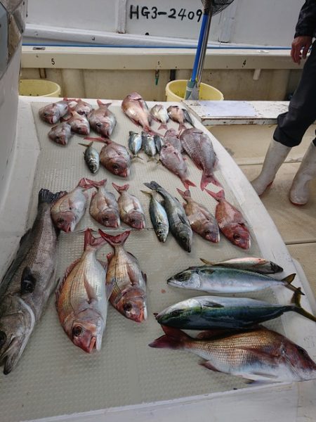 たかみ丸 釣果
