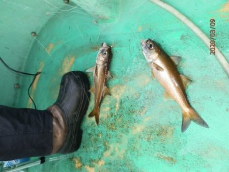第二むつ漁丸 釣果