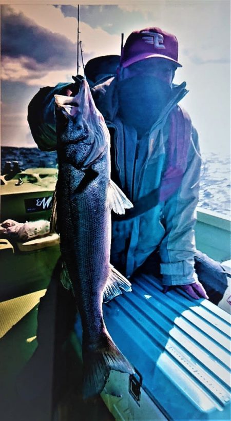 気仙沼　つり丸 釣果