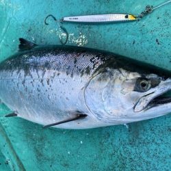 広進丸 釣果