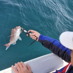 遊漁船 ニライカナイ 釣果