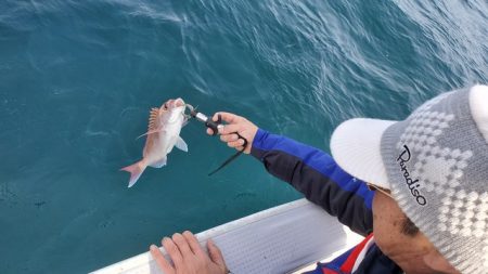 遊漁船 ニライカナイ 釣果