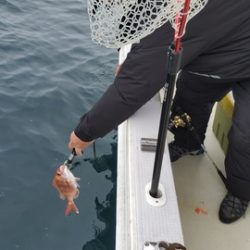 遊漁船 ニライカナイ 釣果