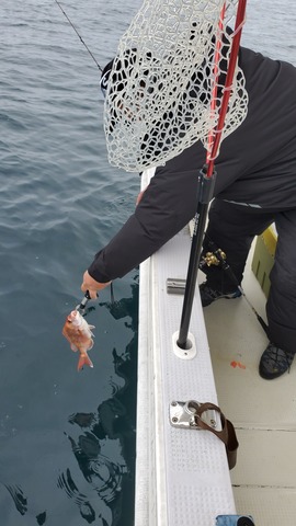 遊漁船 ニライカナイ 釣果