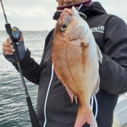 遊漁船 ニライカナイ 釣果