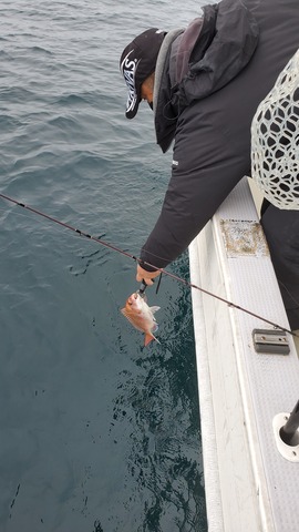 遊漁船 ニライカナイ 釣果