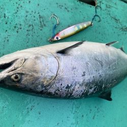 広進丸 釣果