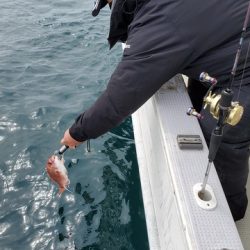 遊漁船 ニライカナイ 釣果