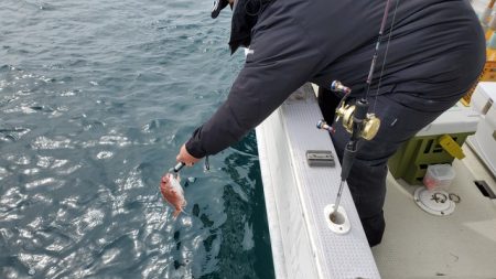 遊漁船 ニライカナイ 釣果