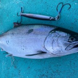 広進丸 釣果