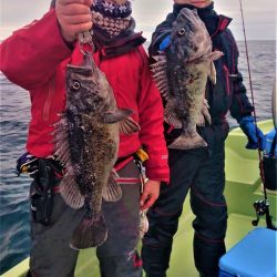 気仙沼　つり丸 釣果