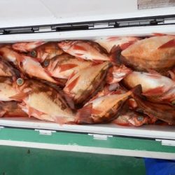 第二むつ漁丸 釣果