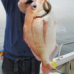 遊漁船 ニライカナイ 釣果