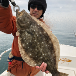 Magic(マジック) 釣果