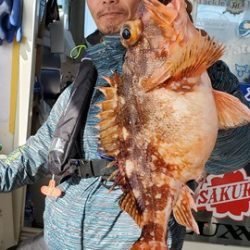 遊漁船　ニライカナイ 釣果