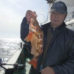 第二むつ漁丸 釣果