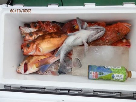 第二むつ漁丸 釣果