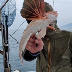 遊漁船 ニライカナイ 釣果