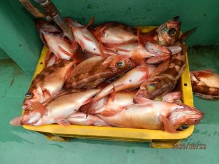 第二むつ漁丸 釣果